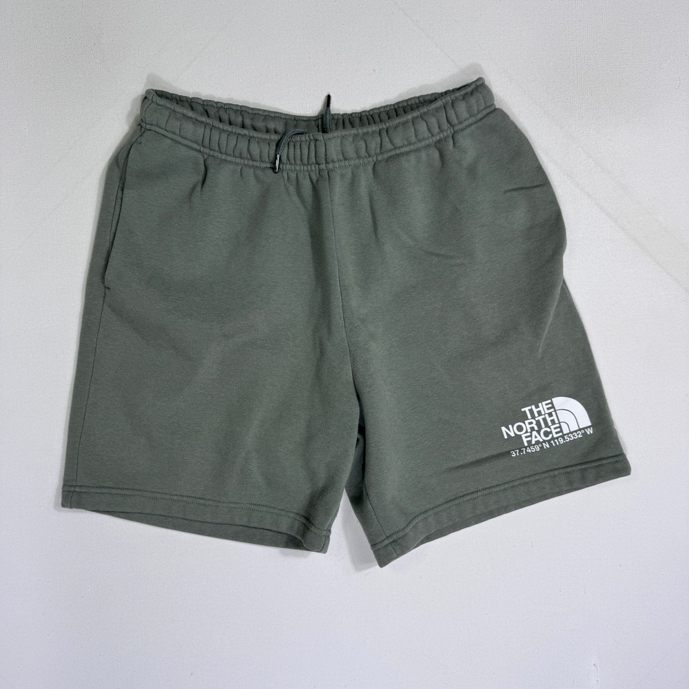 The North Face Mens Medium Fleece Shorts Agave Green Yosemite Logo Cabincore